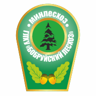 Бобруйский лесхоз ГЛУ