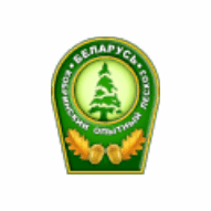 Кобринский опытный лесхоз ГОЛХУ