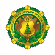 Охотничий комплекс Ельский лесхоз